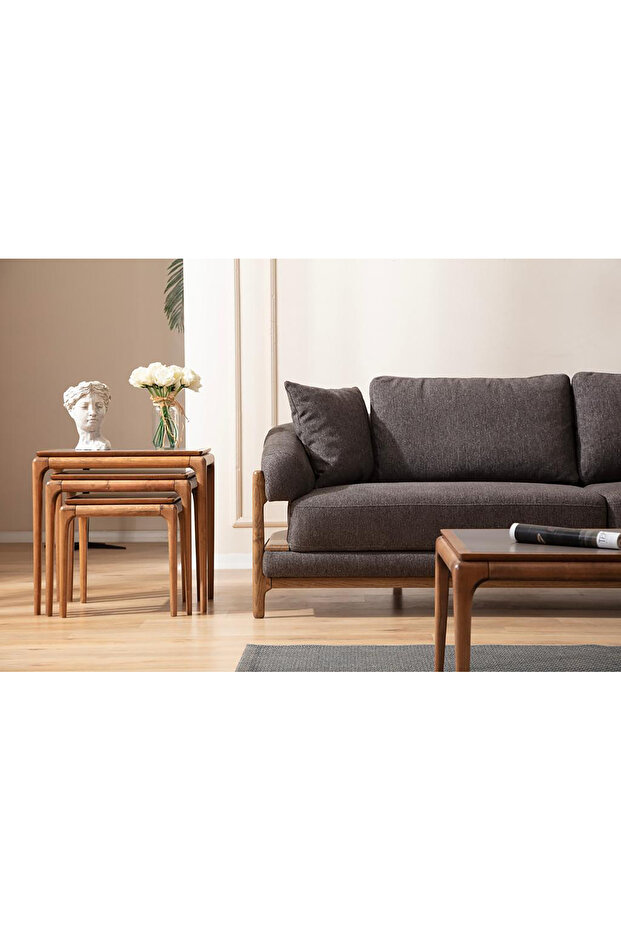 Dali Koltuk Takımı - 3