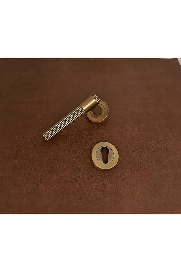 Erva Handles ZK79 Mat Antik Sarı Rozetli Yale Çelik Kapı Kolu Sol Basar Tek Yön - 1