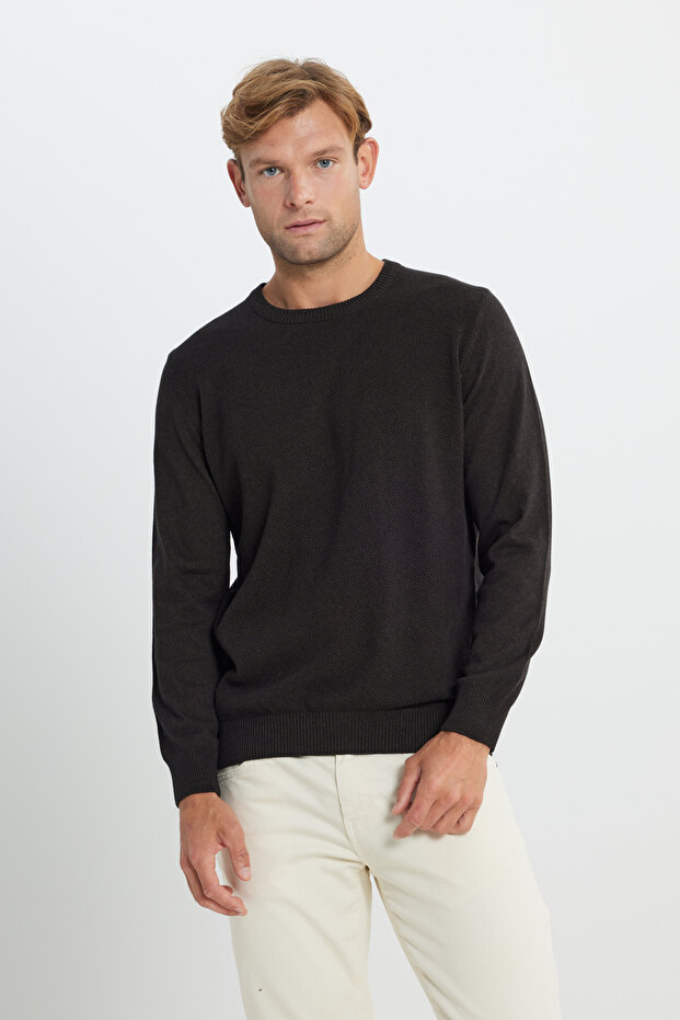 Men's Brown Cotton Standard Fit Regular Cut Crew Neck Jacquard Knitwear Sweater