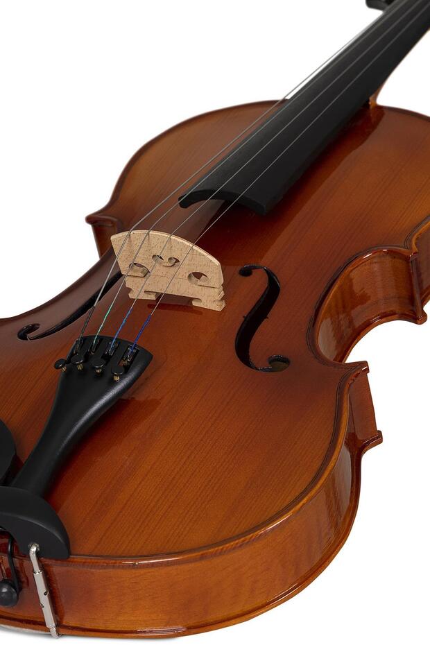 Bva1100 4/4 Viola - 5
