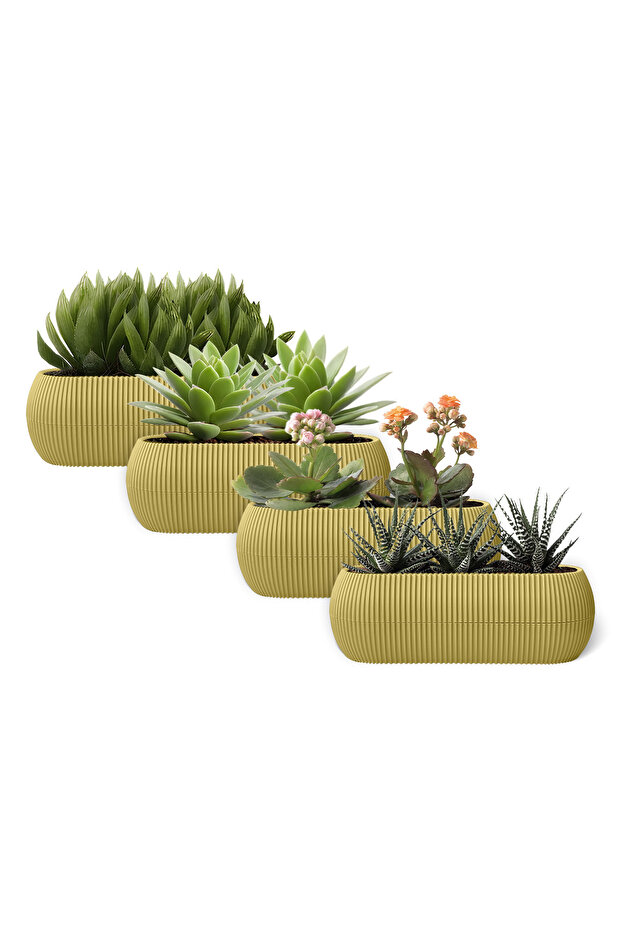 4 Adet 0.55 Litre Soft Sarı Uzun Mercan No1 Saksı Seti Hazneli Plastik Kaktüs Sukulent Saksısı - 1