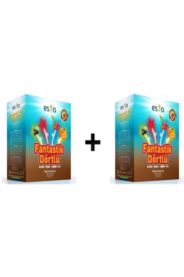 Fantastik Dörtlü Bitki Çayı 45 Süzen Poşet 2 Adet - 1