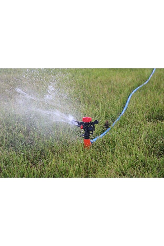 Orange Angular Spray - 1