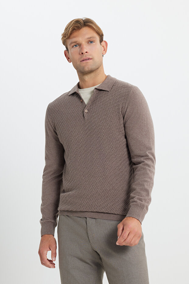 Men's Mink Cotton Standard Fit Regular Cut Polo Collar Dobby Knitwear Sweater