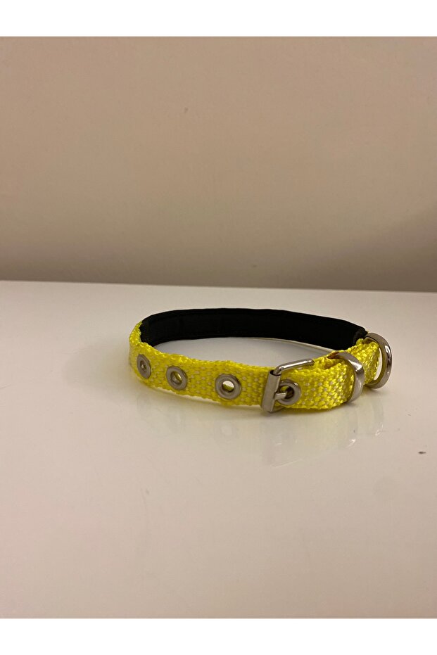 Soft Textured Dog Grap