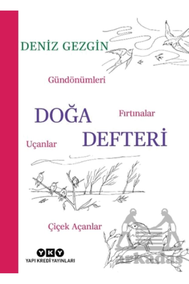 Doğa Defteri - Gündönümleri, Fırtınalar, Uçanlar, Çiçek Açanlar