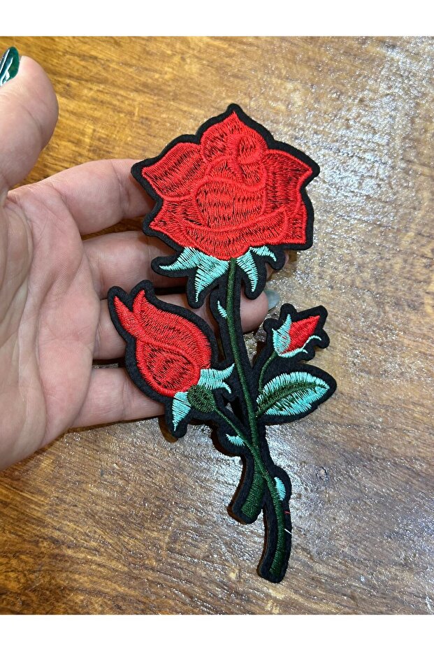 Embroidery Embroidery with Iron Sewing Applique 16X8 cm