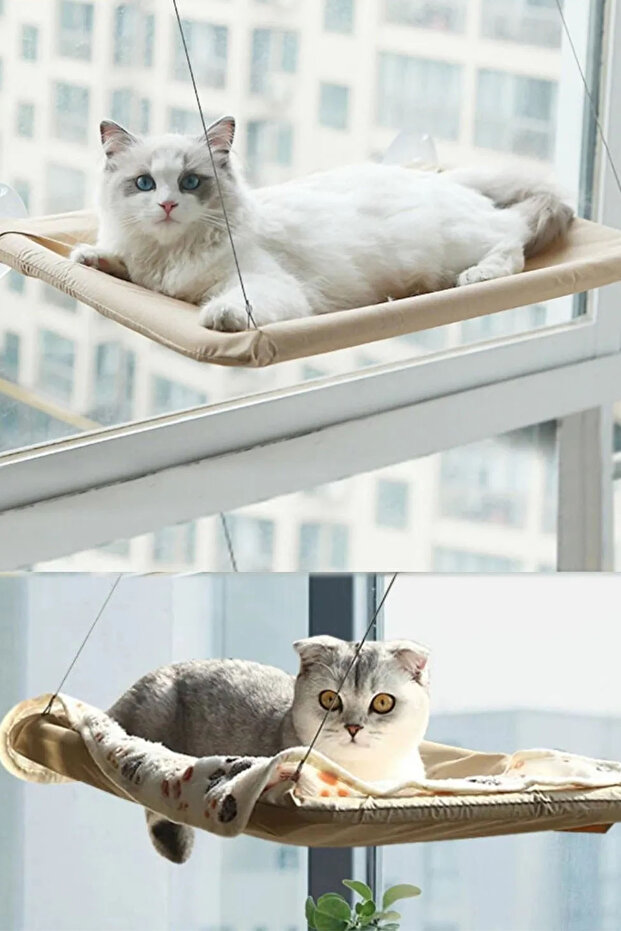 Cam Yatağı Vantuzlu - 1