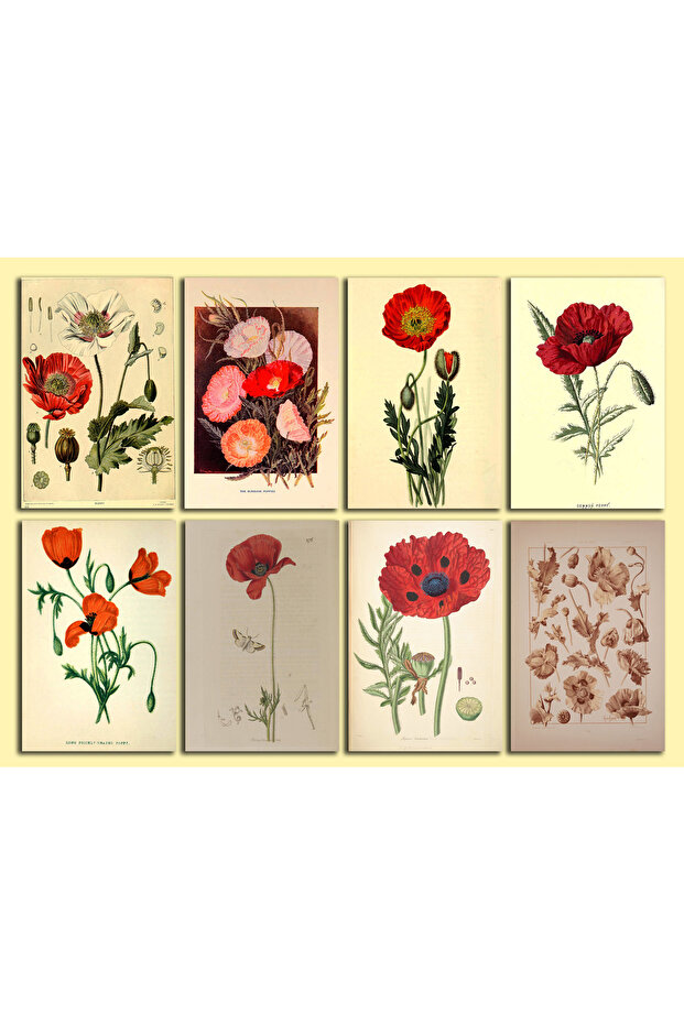 Flowers Themed Postcard Set (10X10 cm 29 Pieces)
