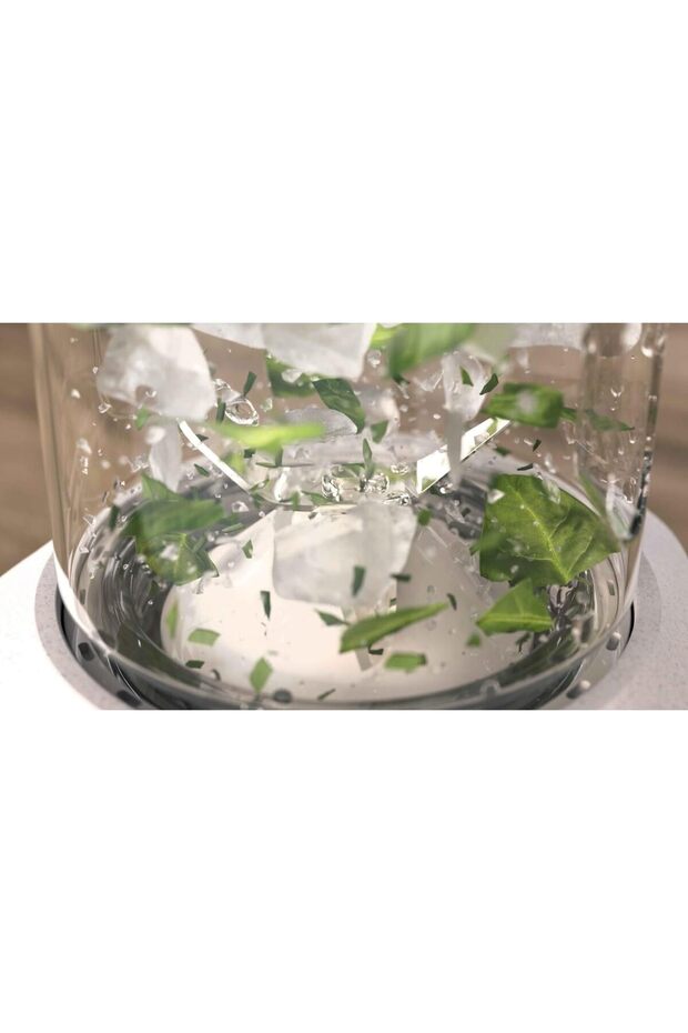 350 W SMOOTHIE BLENDER - 2