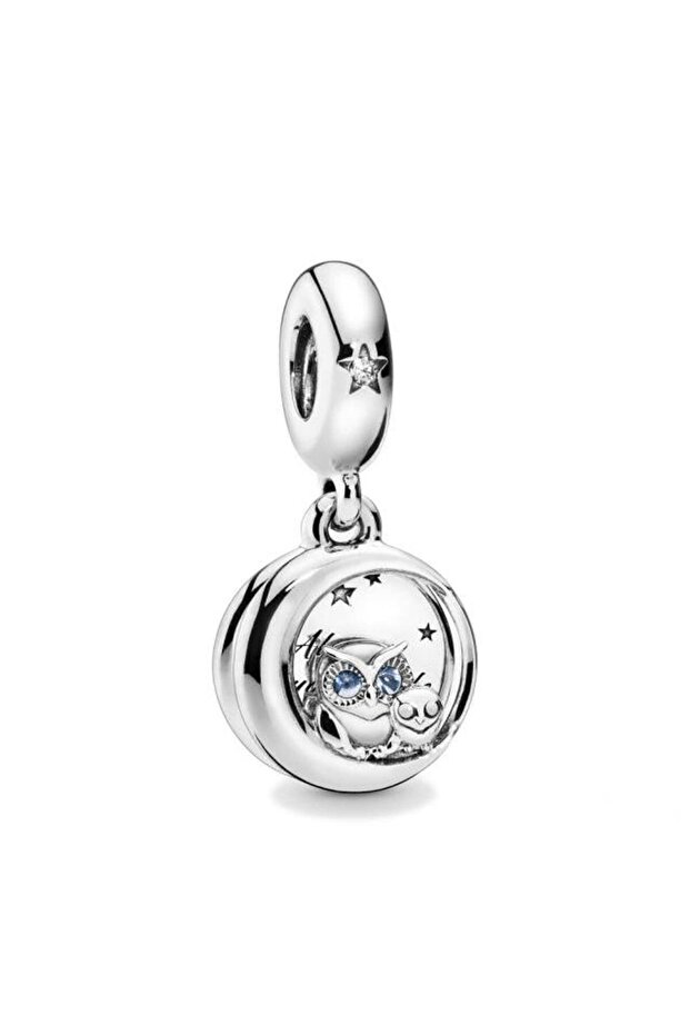 Dangle Blue Eyed Owl Charm