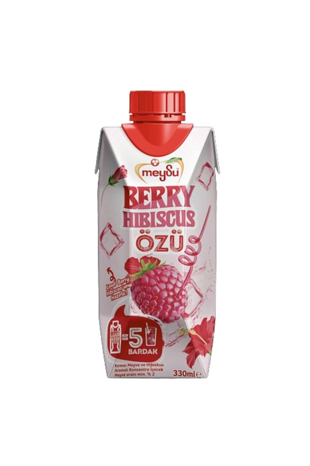 Berry Hıbıscus Özü 330 ml X 12 Adet - 1