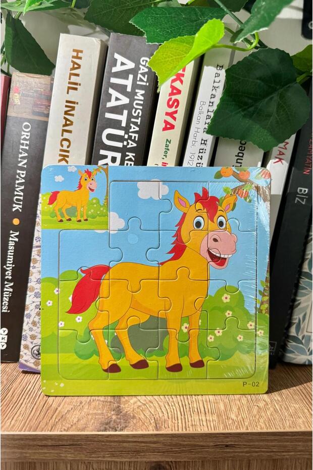 Montessori Wooden Puzzle