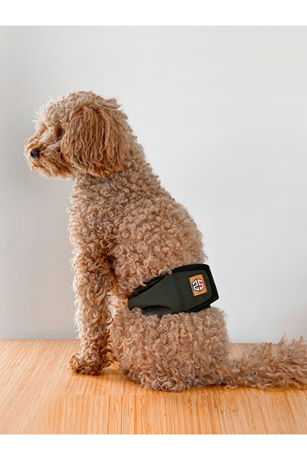 Erkek köpekler için çiş bezi & erkek sızdırmaz köpek külot renkleri - 6