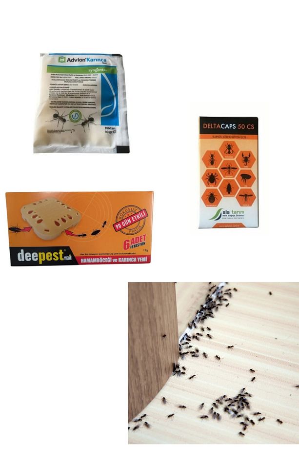 Karınca Yavru-Ergin İlaç Seti/Deltacaps 25ML/Advion Granül 10GR/Deepest Hazır Yem 6 Adet - 1