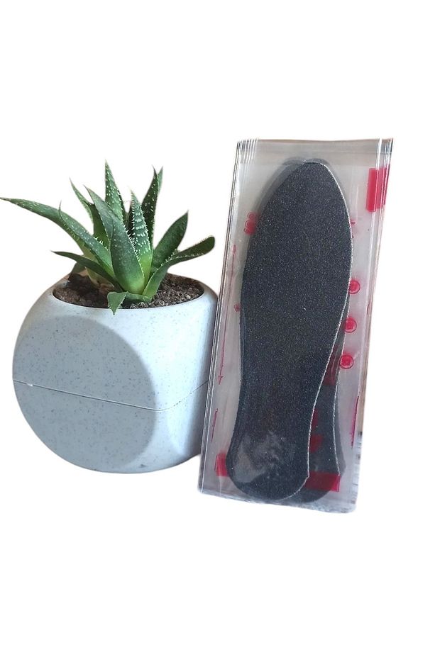 Topuk Törpüsü Set - Ahşap Spatula 20 Adet Yedek Törpü - 3