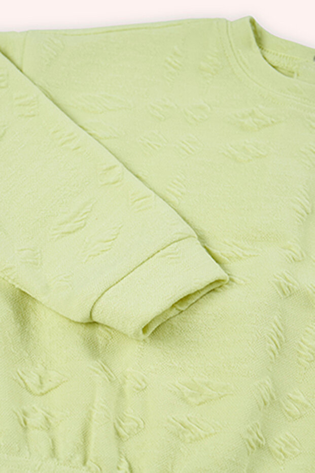 Kız Bebek Yeşil Sweatshirt - 3