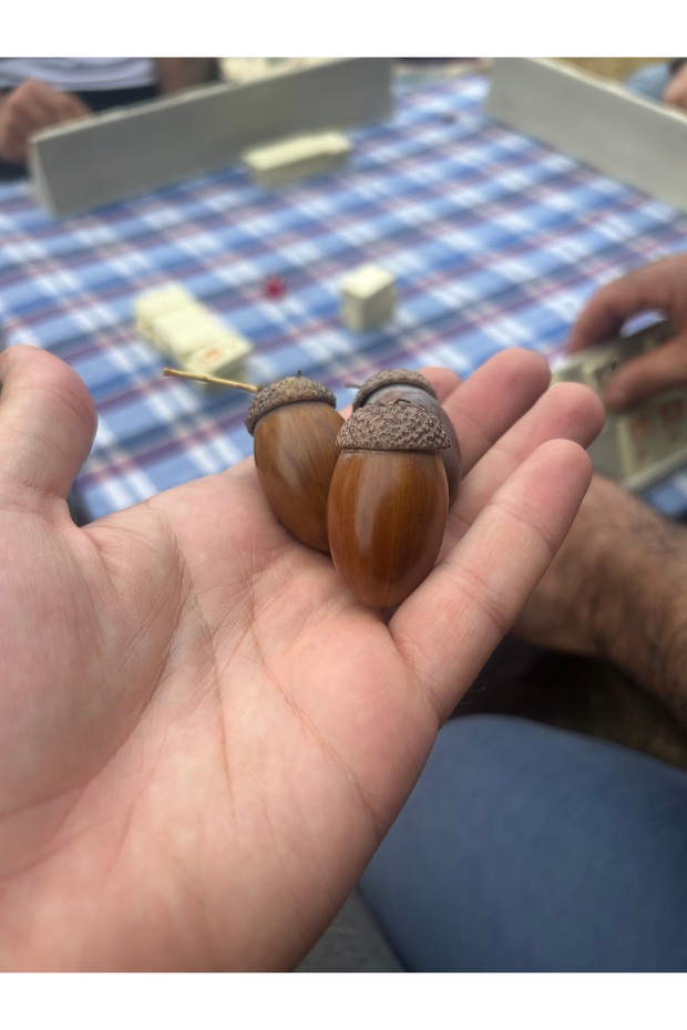 Meşe palamudu - 3