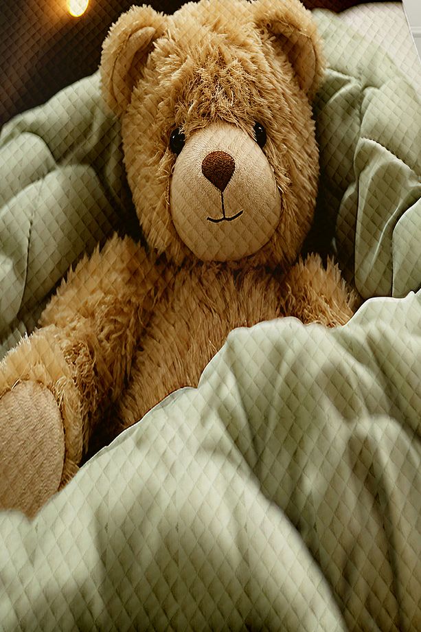 Oyuncak Ayı Teddy Desenli Kız Çocuk Tek Kişilik Kapitoneli Pike Takımı Yatak Örtüsü - 2