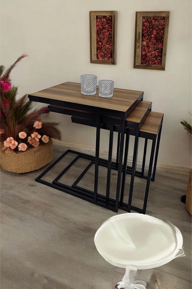 Siyah Metal Ayaklı, Ceviz Üst Tablalı, C Zigon Sehpa - 1