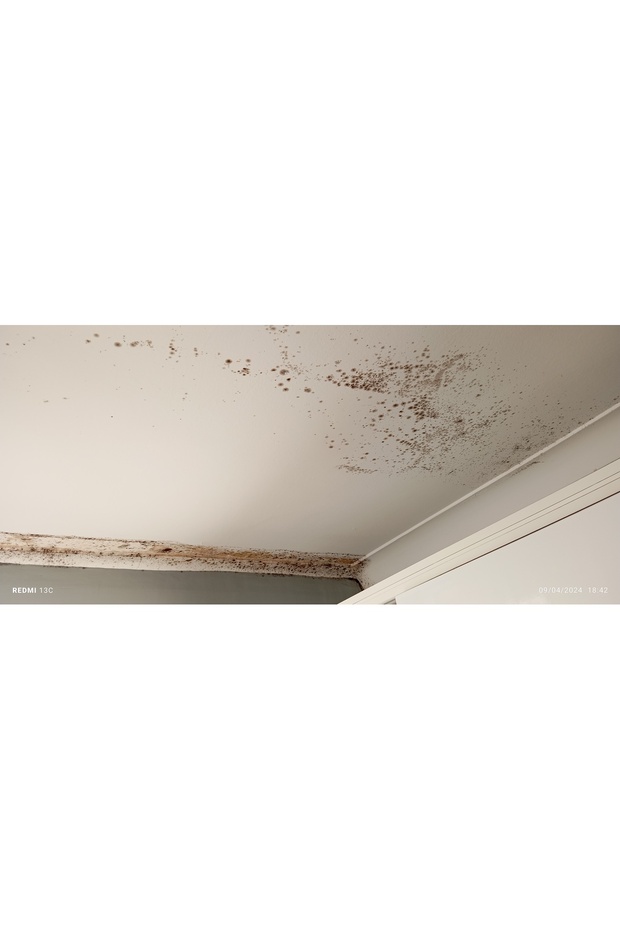 MS 82 (1kğ) öz bayar inşaat - 4