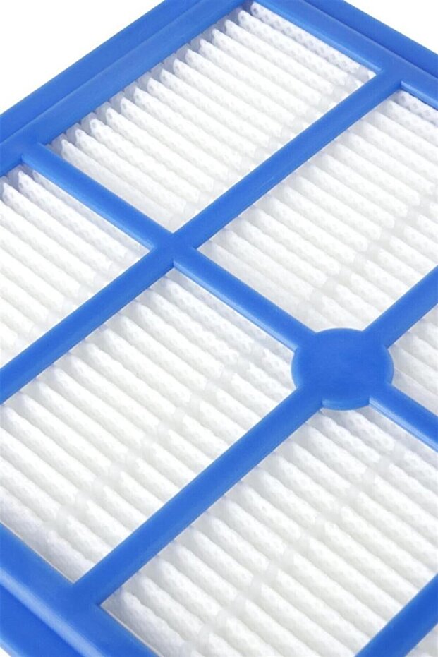 Electrolux Oxy3System Compatible Hepa Filter - 3