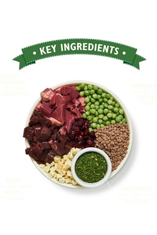 Shepherd's Pie Lamb Grain Free Adult Dry Dog Food - 12KG