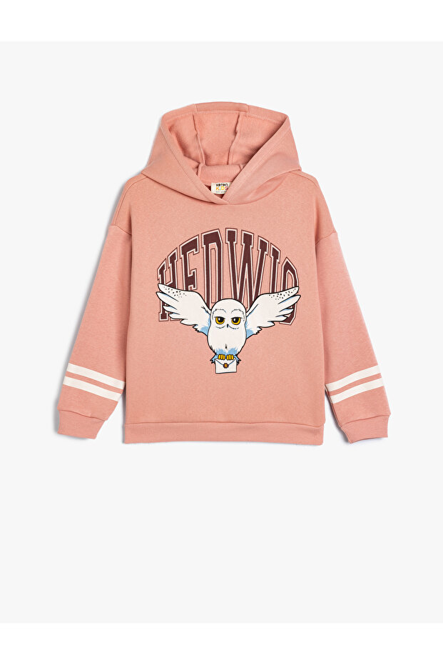 Sweatshirt Oversize Hooded Harry Potter Printed Licensed Long Sleeve