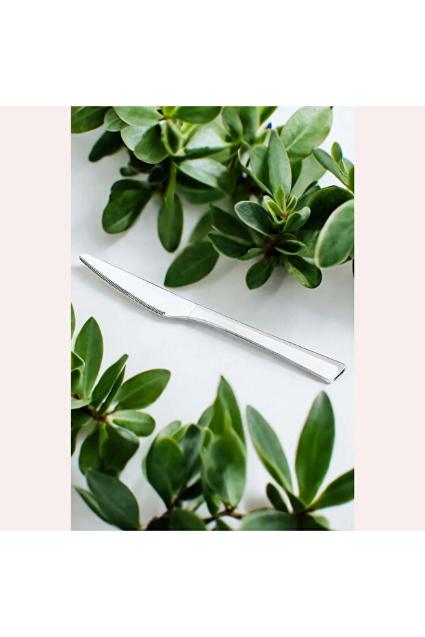 (Buddle) Tuana Plain 12 Pieces Steel & Plain Food Knife