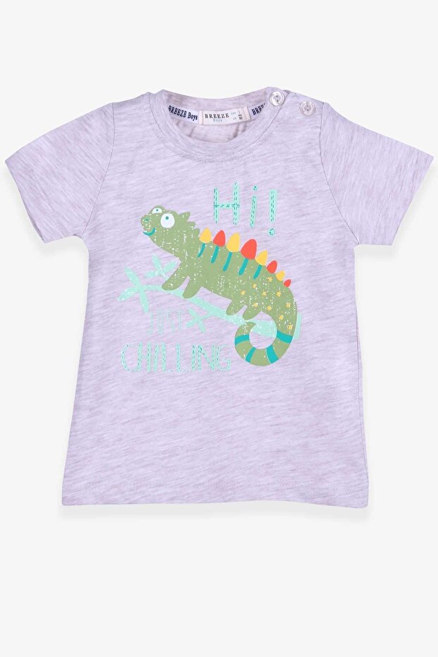 Baby Boy T-Shirt Chameleon Printed 9 Months-3 Years, Beige Melange
