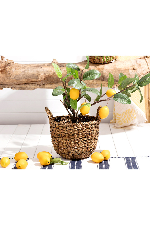 دوريس سلة الخوص المتوسطة