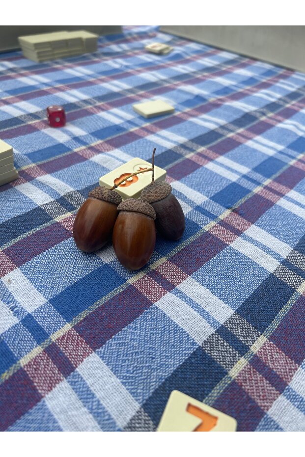 Meşe palamudu - 1