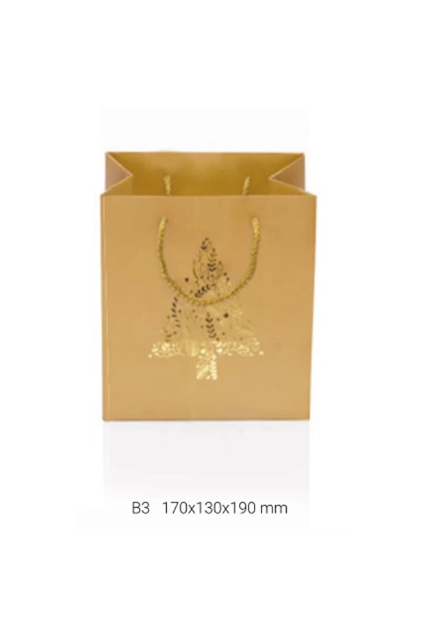 GIPTA B3 LUZ HEDİYELİK KARTON ÇANTA BG0146 - 1