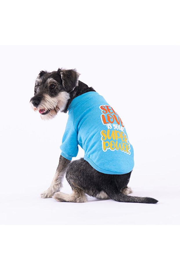Turquoise Power Dog Sweati Dog Clothes Cat Clothes