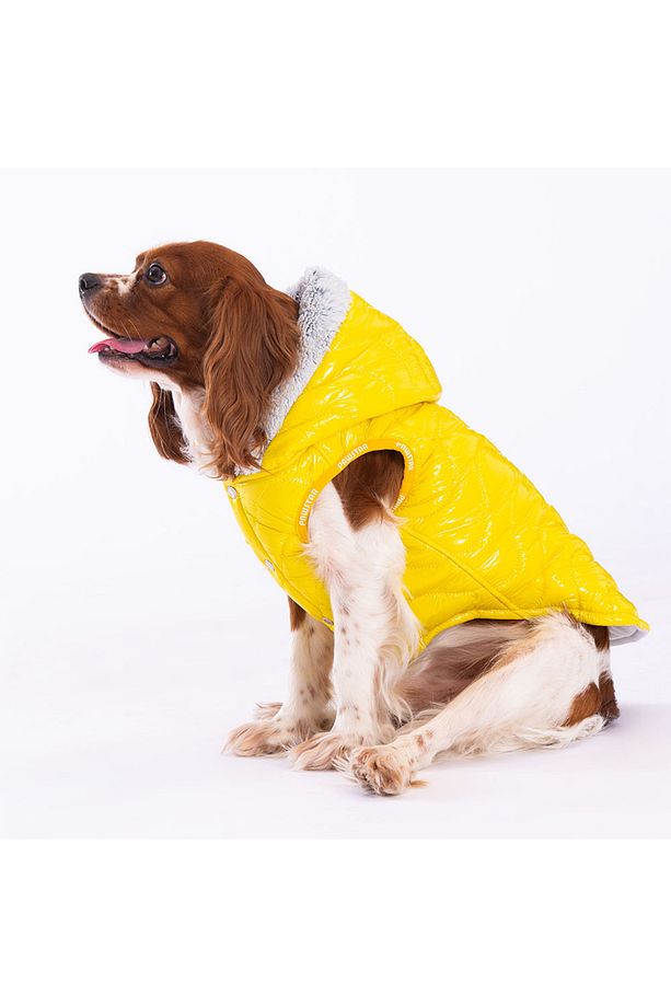 Sarı Light Wave Anorak Yelek Köpek Yeleği Köpek Kıyafeti Köpek Yağmurluk - 1