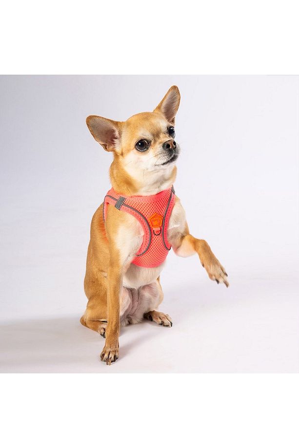 Neon Pembe Air-mesh Göğüs Tasması Kedi Köpek Göğüs Tasması - 1
