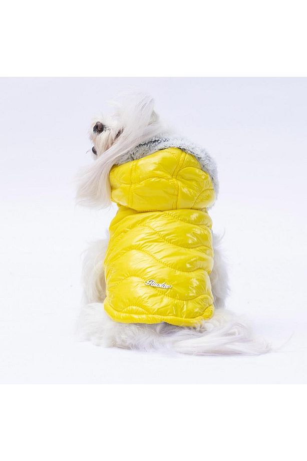 Sarı Light Wave Anorak Yelek Köpek Yeleği Köpek Kıyafeti Köpek Yağmurluk - 6