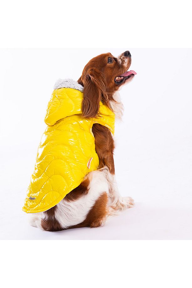 Sarı Light Wave Anorak Yelek Köpek Yeleği Köpek Kıyafeti Köpek Yağmurluk - 2