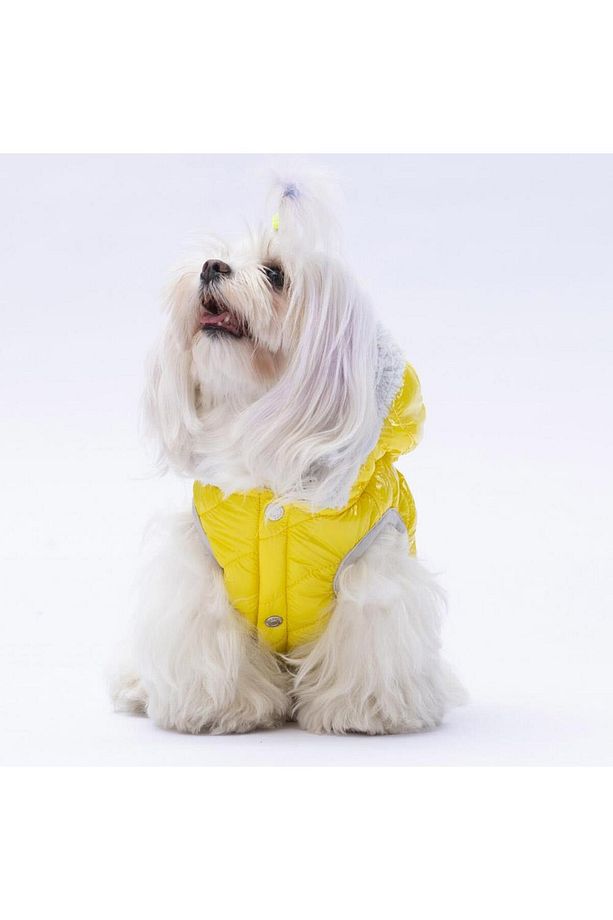 Sarı Light Wave Anorak Yelek Köpek Yeleği Köpek Kıyafeti Köpek Yağmurluk - 7