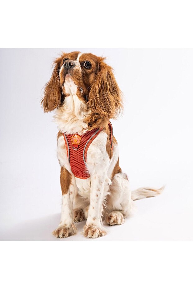 Tile Air-mesh Chest Collar Cat Dog Chest Collar