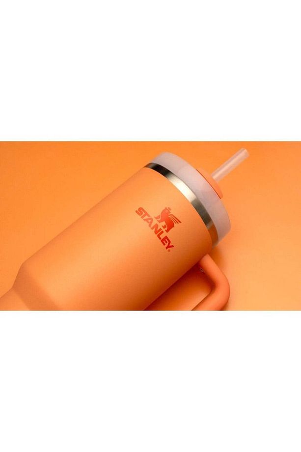 Quencher Pipetli Termos Bardak 1.18 Lt - 6