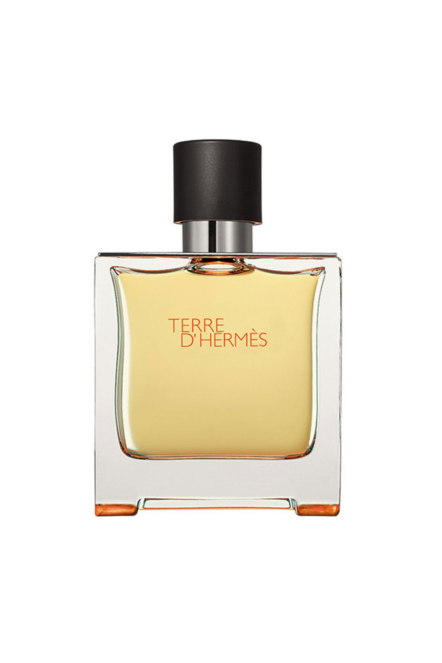 Terre D'Hermes Pure Parfum 75 ml - 2