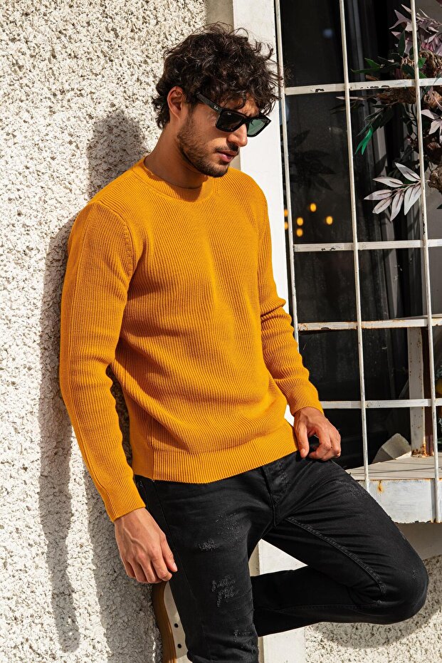 Men's Crew Neck Brioche Knit Knit Sweater 21W303