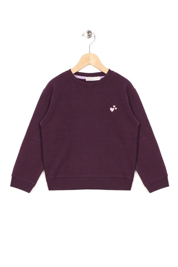 Crew Neck Long Sleeve Heart Embroidered Murdum Color Girl's Sweatshirt
