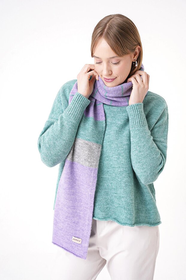Women's Color Blocked Soft Textured Scarf Lilac 25W5002