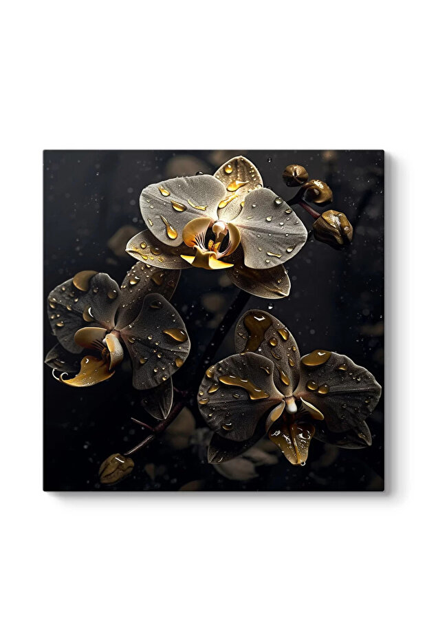 Gece Orkidesi Kanvas Tablo - 2