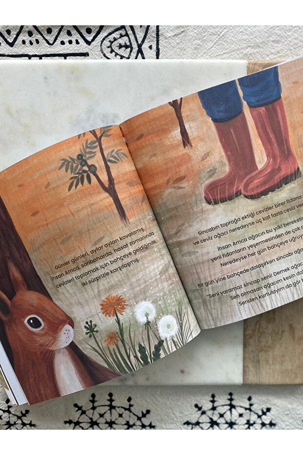 Ceviz Koleksiyoncusu - 3