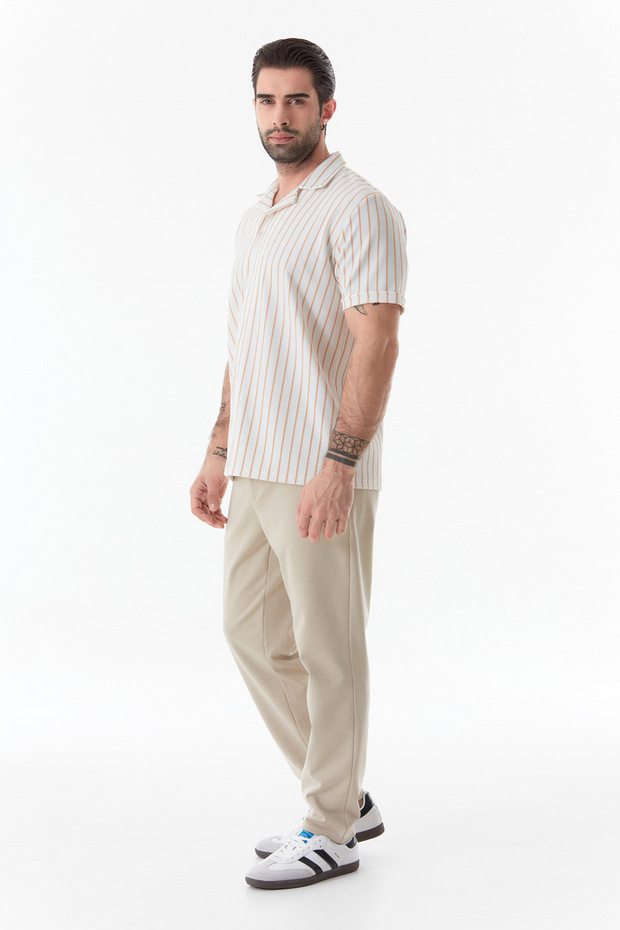 Striped Basic Shirt - 6