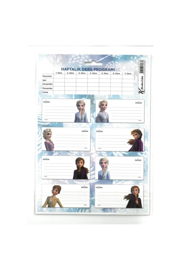 Sharp 220130 Ii Lesson Programmed School Label 3 Pcs