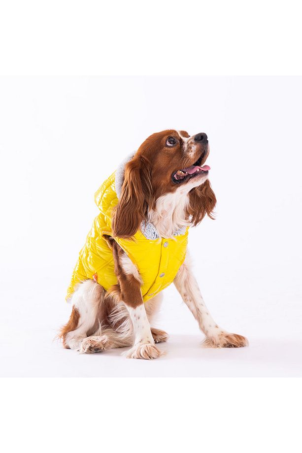 Sarı Light Wave Anorak Yelek Köpek Yeleği Köpek Kıyafeti Köpek Yağmurluk - 3